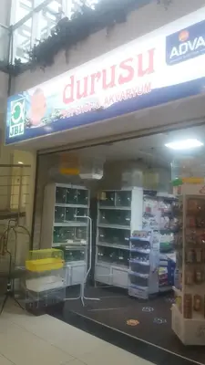 Dünya Akvaryum & Petshop