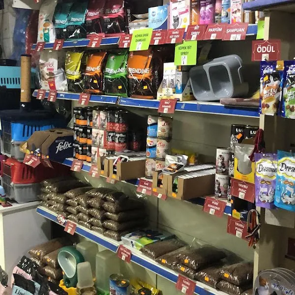 Alptürk Akvaryum & Pet foto 2