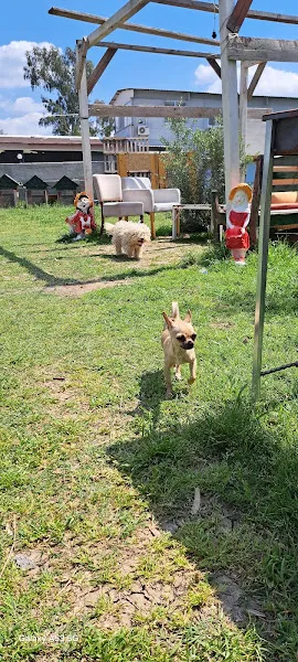. foto 2