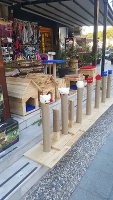 Beldibi Petshop