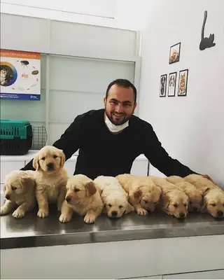 Aldeva Veteriner Kliniği