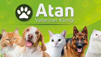 ATAN VETERİNER KLİNİĞİ