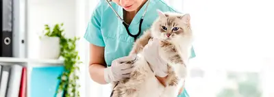 Emineller Veteriner Kliniği