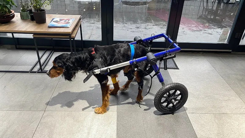Emineller Veteriner Kliniği foto 2