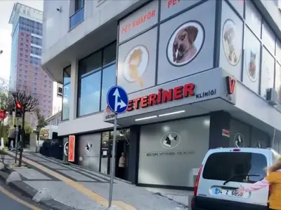 GÜLTEPE VETERİNER KLİNİĞİ-KAĞITHANE