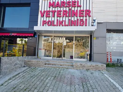 Marsel Veteriner Kliniği Bodrum