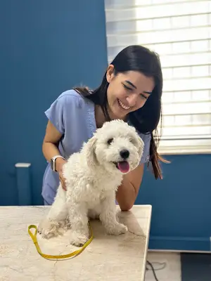 Fethiye Patipark Veteriner Kliniği