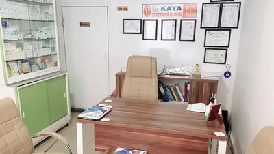 Kaya Veteriner Kliniği