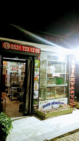 ŞAHİN AKVARYUM foto 1
