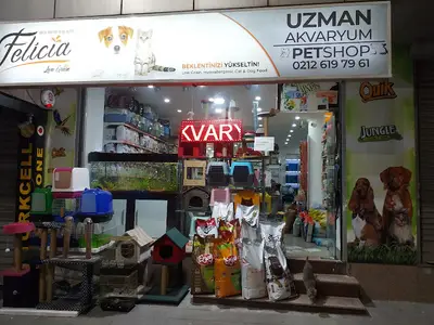 avcı akvaryum