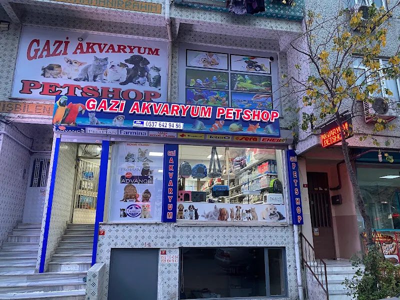 avcı akvaryum foto 2