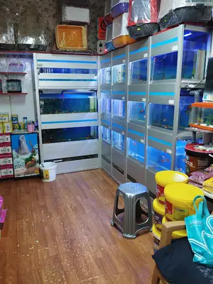 Kartalter Kuş Ve Akvaryum Evi̇