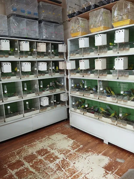 Kartalter Kuş Ve Akvaryum Evi̇ foto 2