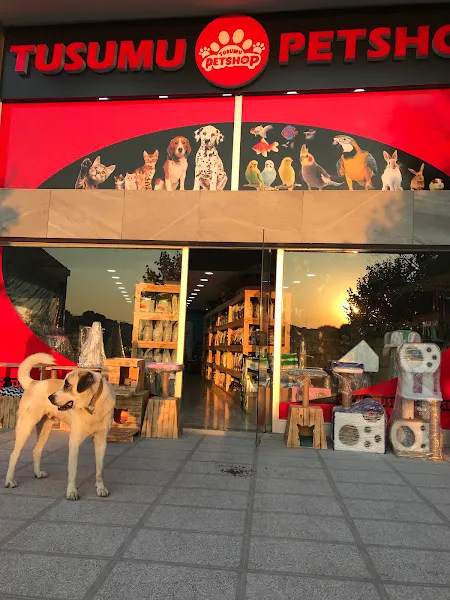 Evcil Hayvan Dükkanı foto 2
