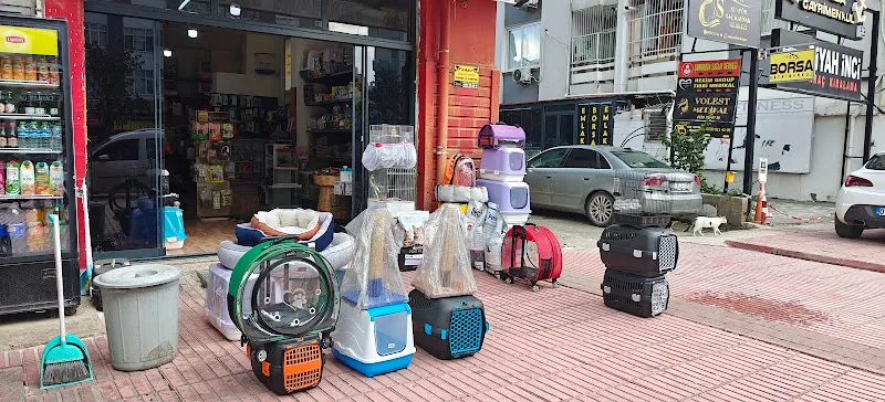 AMAZON PETSHOP foto 1