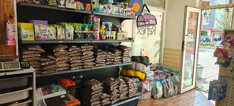 AMAZON PETSHOP foto 2