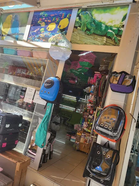 Doğa Akvaryum & Petshop Tekirdağ foto 2