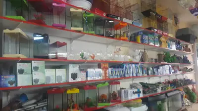 Bitirim Pet Shop