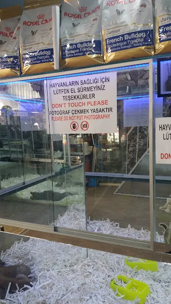 Mavi Köşk Petshop foto 1