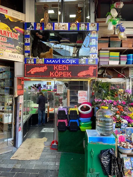 Mavi Köşk Petshop foto 2