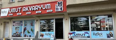 Umut akvaryum