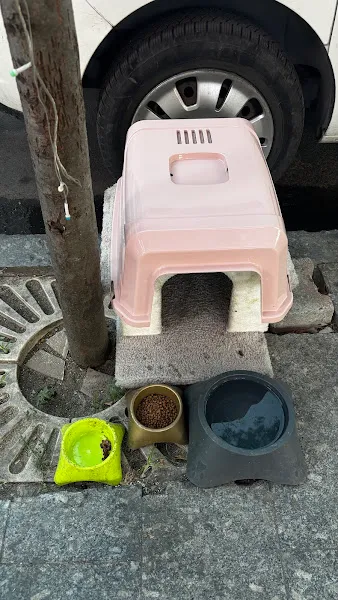 Kocaman Petshop Gültepe foto 2