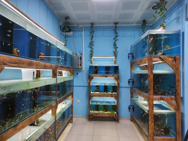 Cipetpetshopbursa foto 2