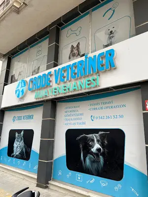 Sinop Cadde Veteriner Kliniği