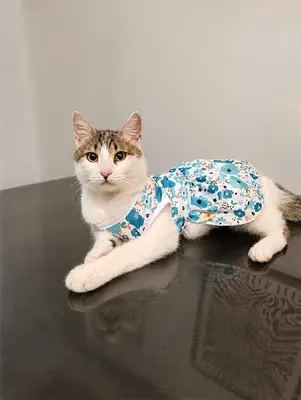 Dostum Veteriner Kliniği