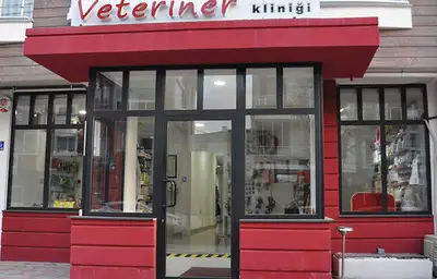 Sultangazi veteriner kliniği