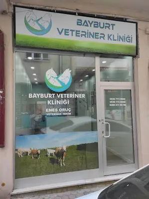 Veteriner Hekim