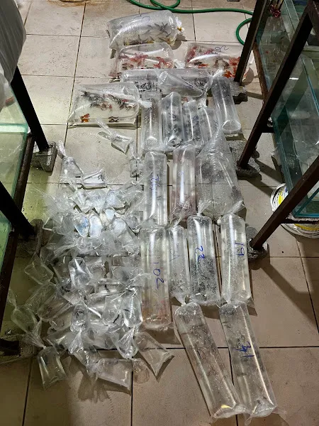 İsem Akvaryum foto 2