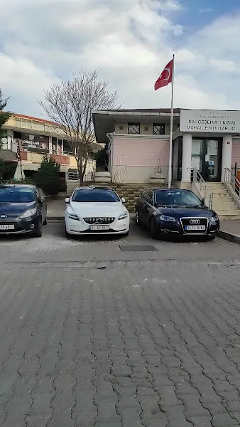 Akvaryum foto 2
