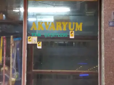 Akvaryum Yem Çeşitleri