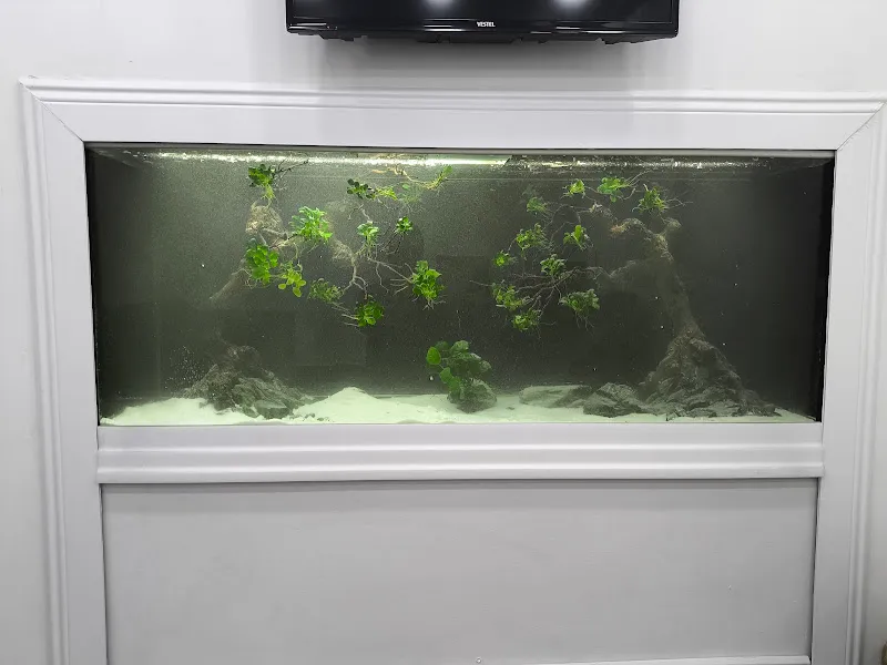 kond aquascaping foto 2