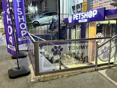 Tommy Petshop