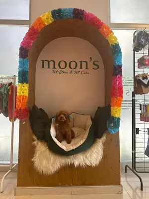 Moons Pet Store & Pet Care