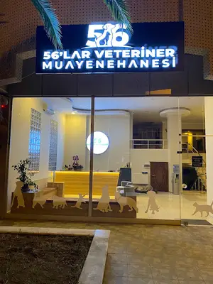 56’lar Veteriner Kliniği