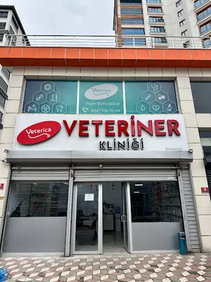 Veterica Güneşevler Veteriner Klinigi
