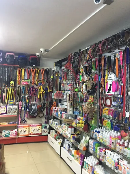 MyStar petshop sancaktepe foto 2