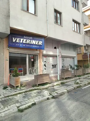 Sevimli pet Kuaför