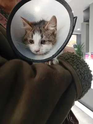 PUMA Veteriner Kliniği Kartal
