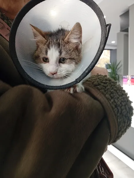 PUMA Veteriner Kliniği Kartal foto 1