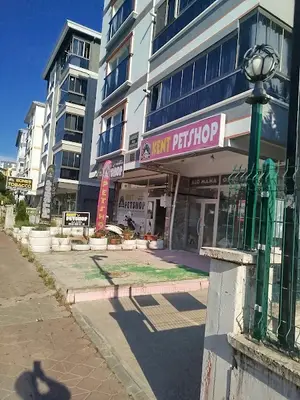 Kent Petshop