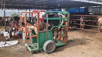 OĞUZ VETERİNER KLİNİĞİ