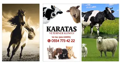 Karataş Veteriner Kliniği