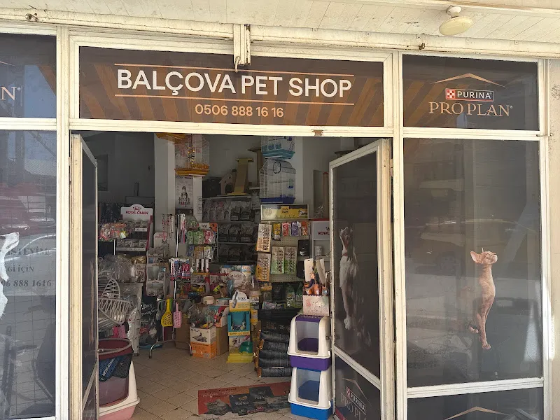 Yummy PetShop foto 2