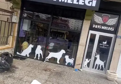 Pati Meleği Petshop