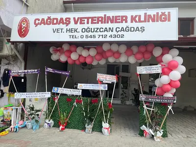 Çağdaş Veteriner Kliniği