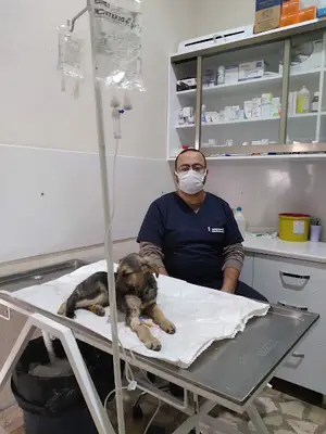 Akvet Veteriner Kliniği